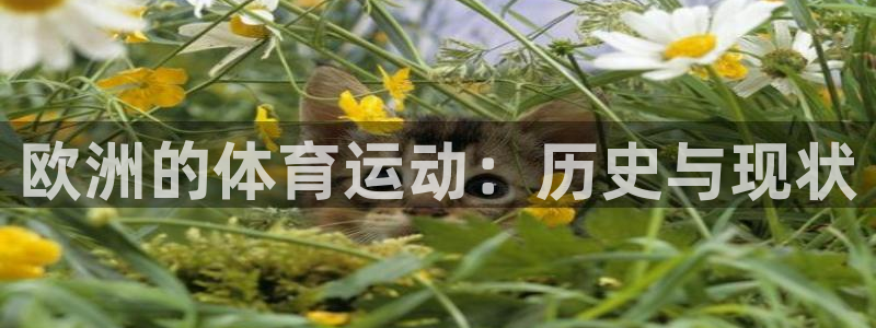 米兰体育最新版下载：欧洲的体育运动：历史与现状