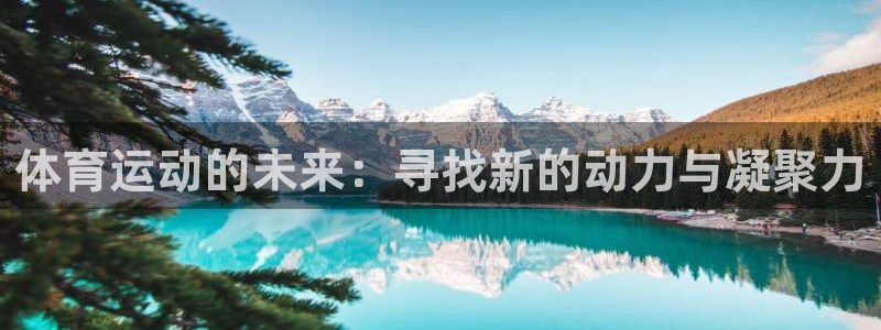 米兰体育下载官网最新版：体育运动的未来：寻找新的动力与凝聚力
