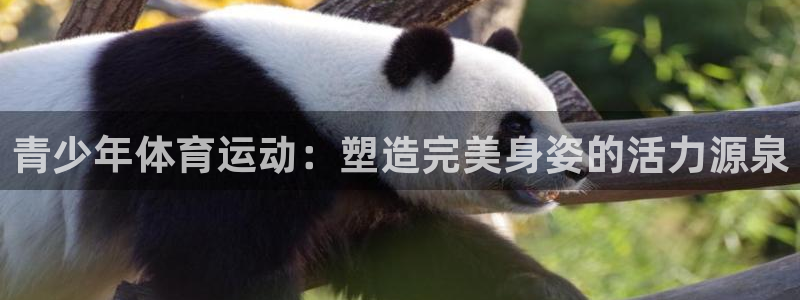 米兰体育下载：青少年体育运动：塑造完美身姿的活力源泉