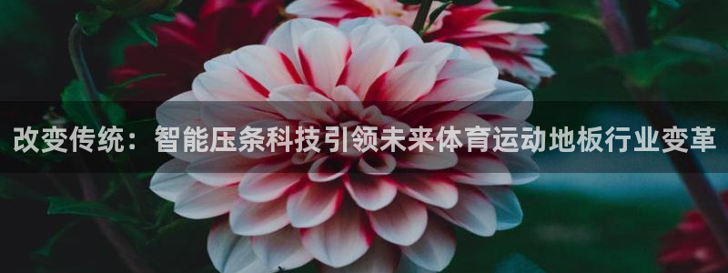 米兰体育下载：改变传统：智能压条科技引领未来体育运动地板行业变革
