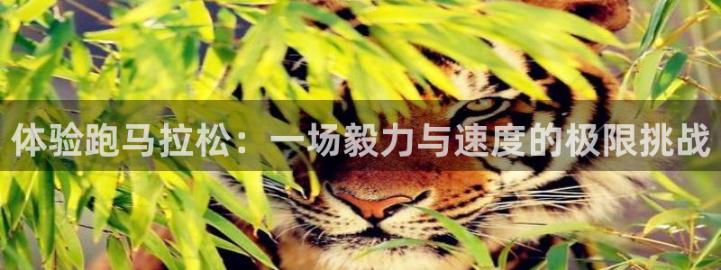 米兰体育中心