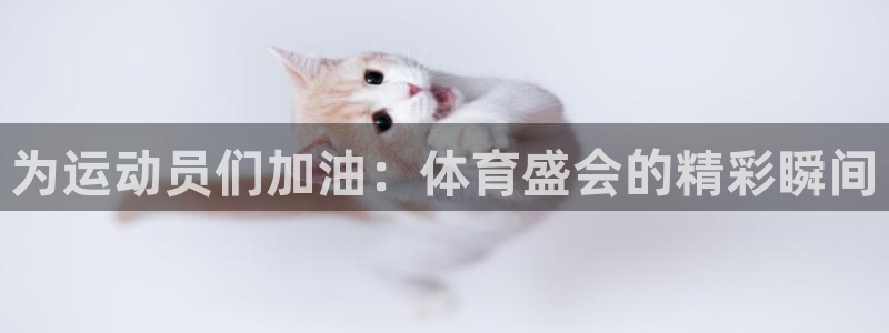 米兰体育网页版