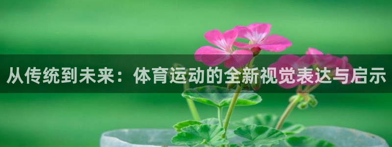 米兰体育综合官网：从传统到未来：体育运动的全新视觉表达与启示