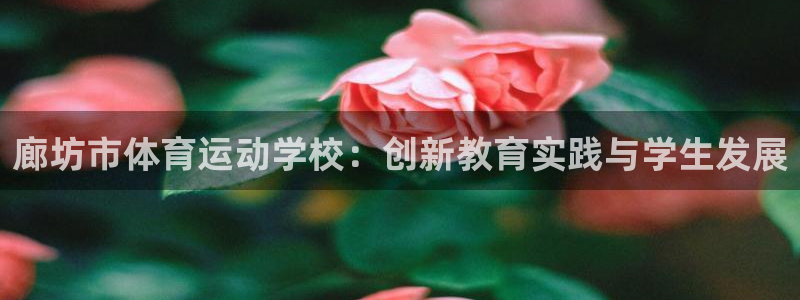米兰体育app：廊坊市体育运动学校：创新教育实践与学生发展